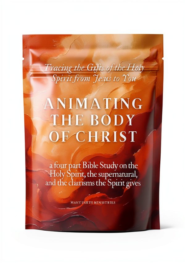Christian Ministry Kindle Book by Amazon-0