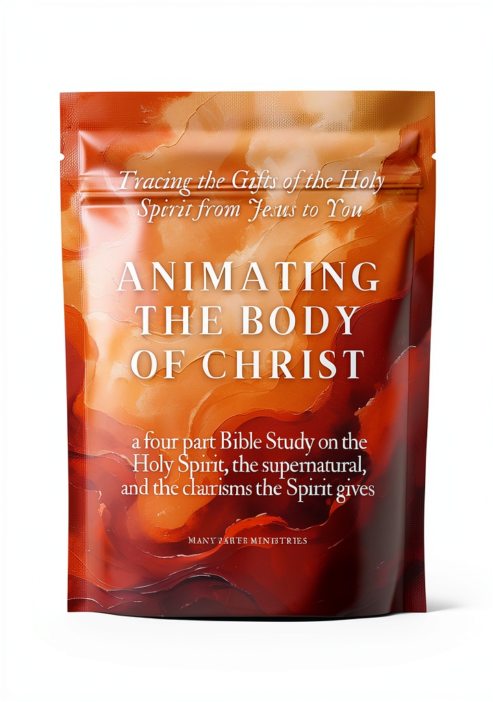 Christian Ministry Kindle Book cover