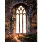 Illuminated Bible Study Guide Book 5 Infinite Arts Media Kindle eBook-0
