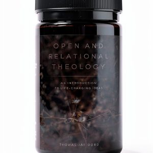 Christian Theology eBook by SacraSage Press 155 Page Kindle Edition-0